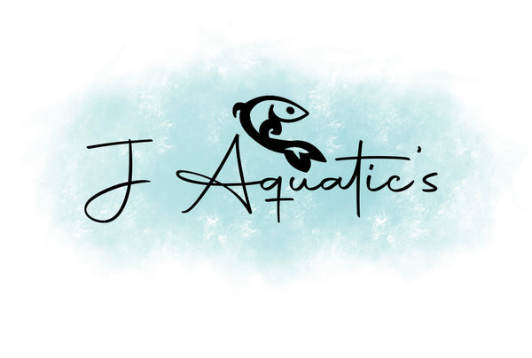J Aquatic’s 